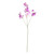 Purple Botanica Sweet Pea (73cm) Purple Botanica Sweet Pea (73cm)