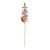 Essential Peach Foxglove