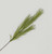 Pampas Grass Spray Green (82cm)