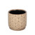 Brown Hortus Linea Pot (14 x 13cm)
