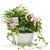 Country Kitchen Oyster Grey Ceramic Cup Planter