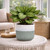 Hortus Green & White Bordeaux Stoneware Pot (20cm H x 22cm Dia)
