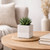 Hortus White Bordeaux Stoneware Cube (12.5cm H x 12.5cm W)