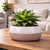 Hortus Pink & White Bordeaux Stoneware Pot (13.5cm H x 25.5cm Dia)