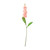 Coral Garden Stock Flower (65cm)