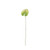 Essential White/Green Anthurium (59cm)