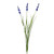 Botanica Blue Lavender (76cm)