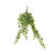 Green Variegated Ivy Hanger (64cm)