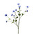 Botanica Blue Anemone Spray (111cm)