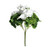Geranium White Bush (15cm)