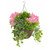 Wild Berry & Geranium Hanging Flower Basket (Pink)
