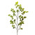 Botanica Leaf Spray Branch (170cm)