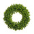 Boxwood Wreath (17 Inch)