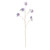 Purple Edelweiss (101cm)