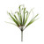 Snowdrop Bush (33cm)