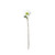 Botanica White Rose (49cm)