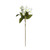 Botanica White Rose Bunch (57cm)