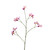 Botanica Pink Iris Spray (105cm)