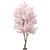 Light Pink Sakura Blossom Tree (2.8m)