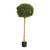 Green Boxwood Ball Potted Tree (4ft)