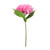 Essential Pink Arundel Hydrangea (34cm)
