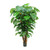 Split Philo Plant Potted (7Ft)