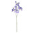 Botanica Dark Blue Sweetpea (73cm)