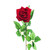 Red Velvet Rose (70cm)
