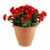 Red Artificial Begonia Tub