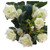 Cream/Green Diamond Rose Bush
