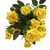 Dark Yellow Diamond Rose Bush
