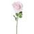 Pink Luna Rose (64cm)