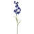 Dark Blue Elsa Delphinium (76cm)