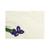 Purple Iris Large Florist Card (Pack of 6)