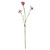 Purple Belamcanda Chinensis Spray (60cm)