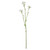 White Belamcanda Chinensis Spray (60cm)