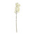 Cream Cymbidium Orchid Spray (80cm)
