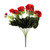 Red/Black Geranium Bush