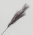 Purple Pampas Grass Spray (82cm)