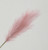 Pink Reed Pampas Grass (96cm)