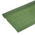 Dark Green Crepe Paper (50x25cm)