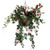 Coleus Hanging Basket