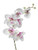White/Pink Orchid Stem (76cm)