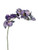 Purple Eternity Orchid (87cm)