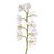 Orchid Cymbidium White (54cm)