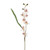 White Mini Orchid Stem