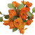 Orange Mini Ranunculus Bush x7