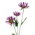Lavender Daisy x3 (53cm)
