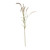 Cream Setaria Grass Spray (105cm)