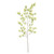 Maple Leaf Green (172cm)